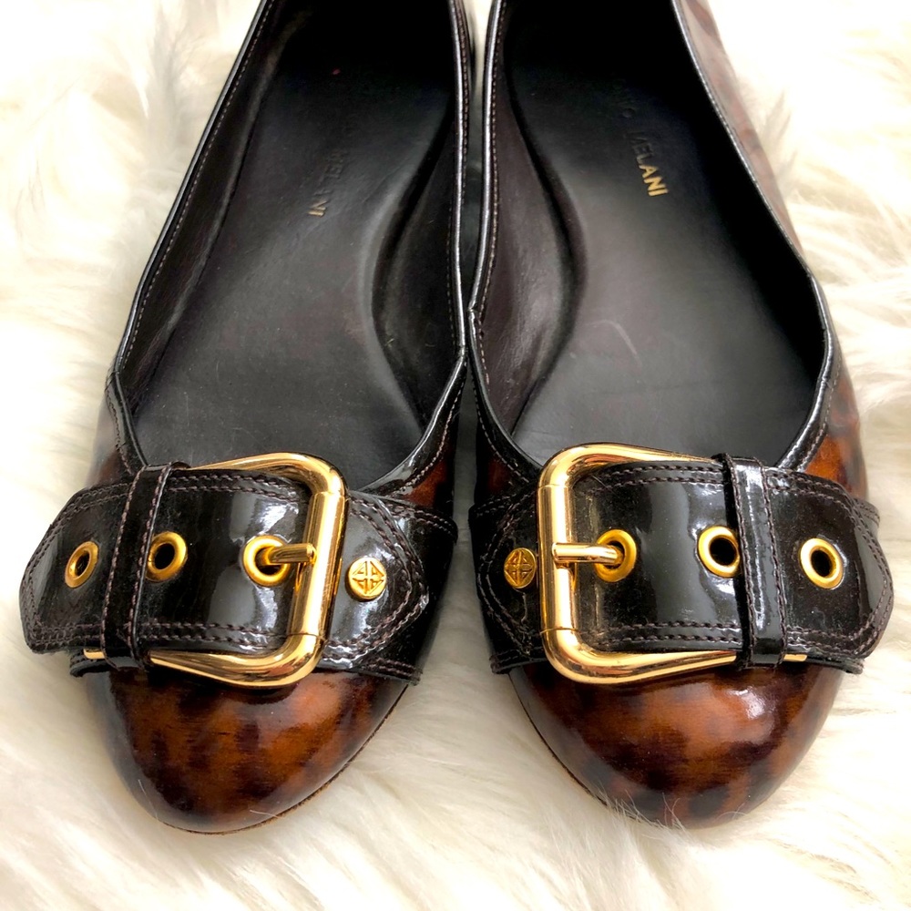 Cheetah flats